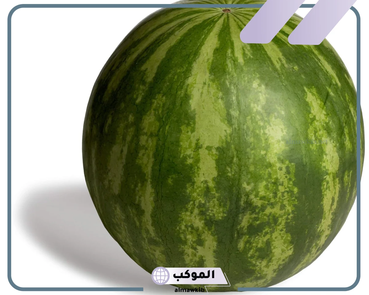 البطيخ فاكهة ام خضار