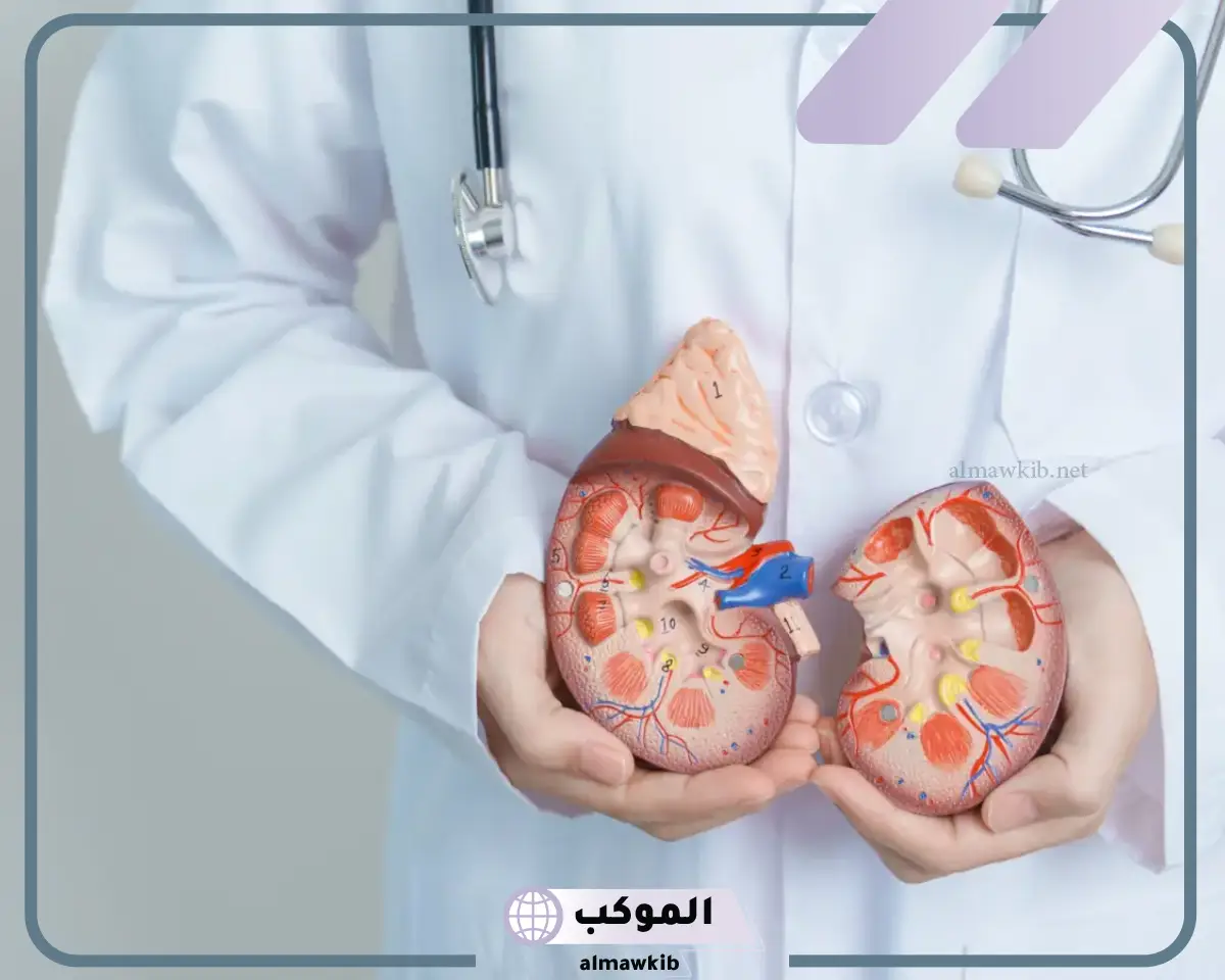 تمارين لانزال حصوة الحالب