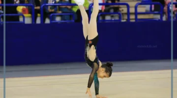 ما هي حركات الجماز