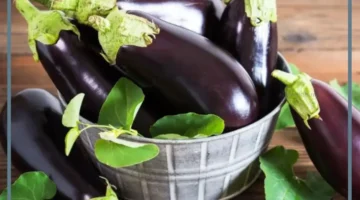 معنى رؤية الباذنجان في الحلم