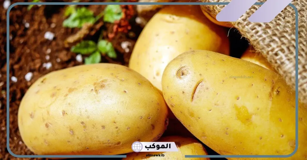 تفسير رؤية البطاطس في المنام للمتزوجة والحامل والعزباء والمطلقة 6 تفسير رؤية البطاطس في المنام للعزباء