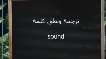 معنى فويس سناب