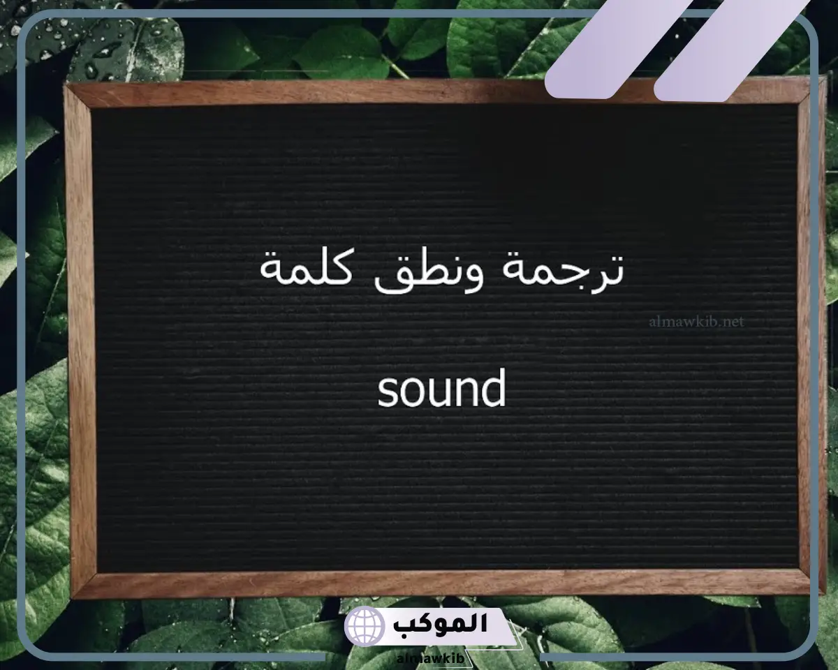 معنى كلمة voice call بالعربي