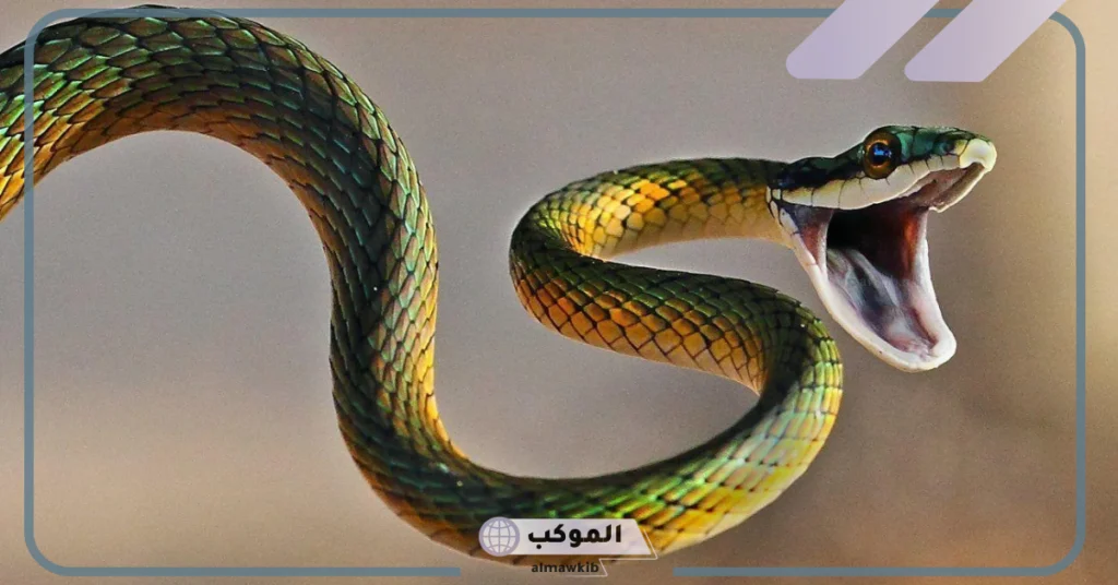 لدغة الثعبان في المنام للمتزوجة 