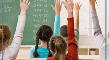 مفهوم التعليم المتمايز