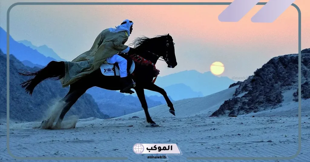 أول من ركب الخيل من العرب