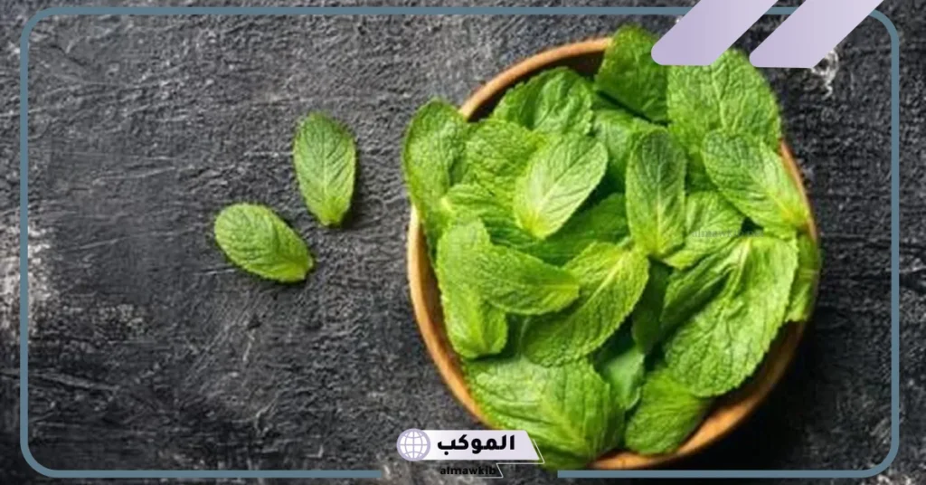 رؤية النعناع في المنام للمتزوجة