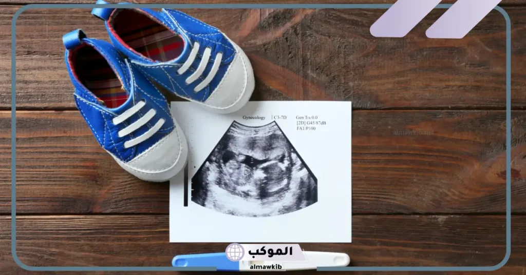 نسبة هرمون الحمل في اليوم 12 من الترجيع عالم حواء 5 تجربتي في اليوم 12 من ترجيع الأجنة