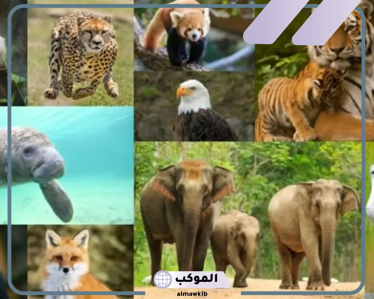كتابة بحث حول جهود العلماء في تصنيف الحيوانات