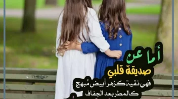 أجمل ما قيل عن الصديق