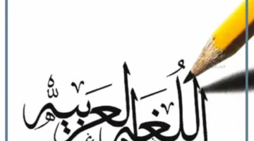 أفكار مجسمات للغة العربية