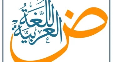 أنواع الأساليب في اللغة العربية