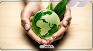 أنواع الموارد في المشروع