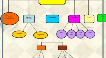 أنواع خرائط المفاهيم