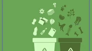 أهمية إعادة التدوير في حياتنا