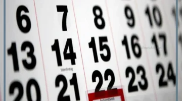 اسابيع السنة