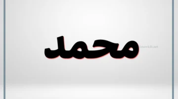 اسم محمد بالشعر