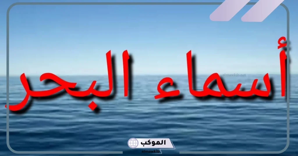 من اسماء البحر من 7 حروف فطحل 5 من أسماء البحر 7 حروف