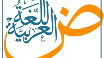 الجملة المثبتة