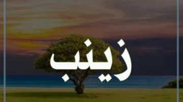 الحلم بزينب