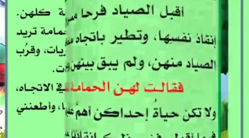 الشبكة والصياد لإبراز الخطر