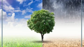 العوامل المناخ الجوية