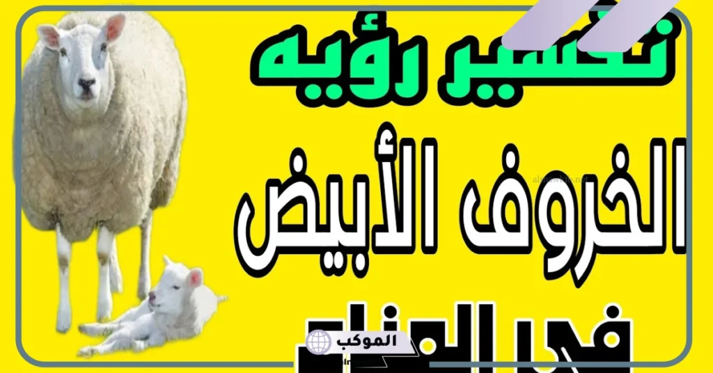 تفسير حلم رؤية الغنم في المنام للمتزوجة والحامل والعزباء 6 تفسير حلم الغنم البيضاء للمتزوجة