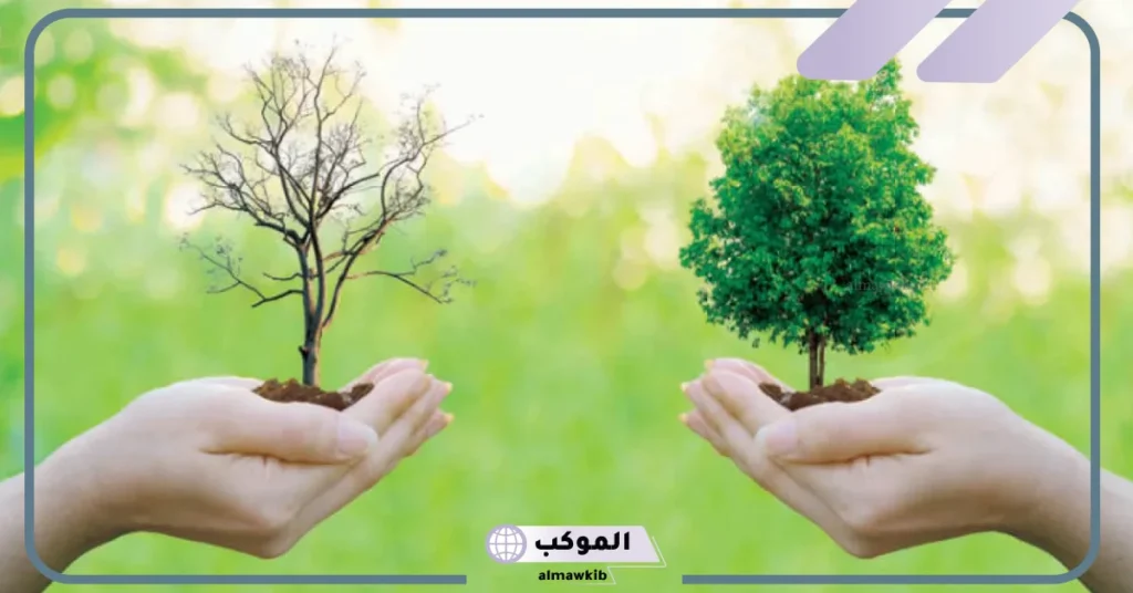 أهمية النظام البيئي