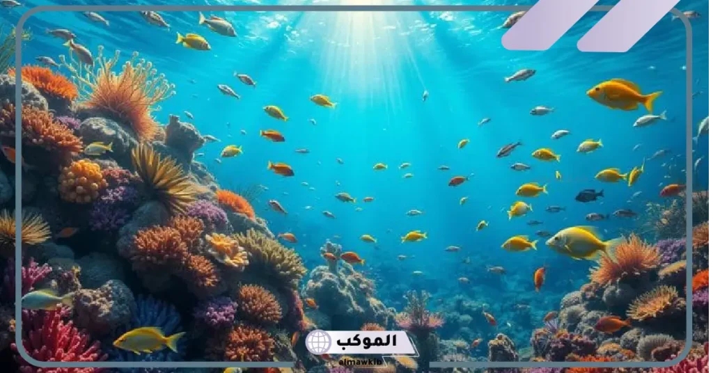 تعريف انظمة بيئية مائية.. أنواع الأنظمة البيئية المائية وتنوعه 6 حماية هذه الأنظمة