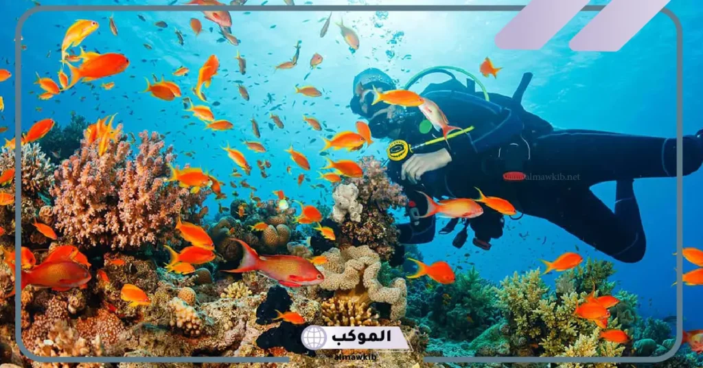 تعريف انظمة بيئية مائية.. أنواع الأنظمة البيئية المائية وتنوعه 5 أنواع الأنظمة البيئية المائية وتنوعه