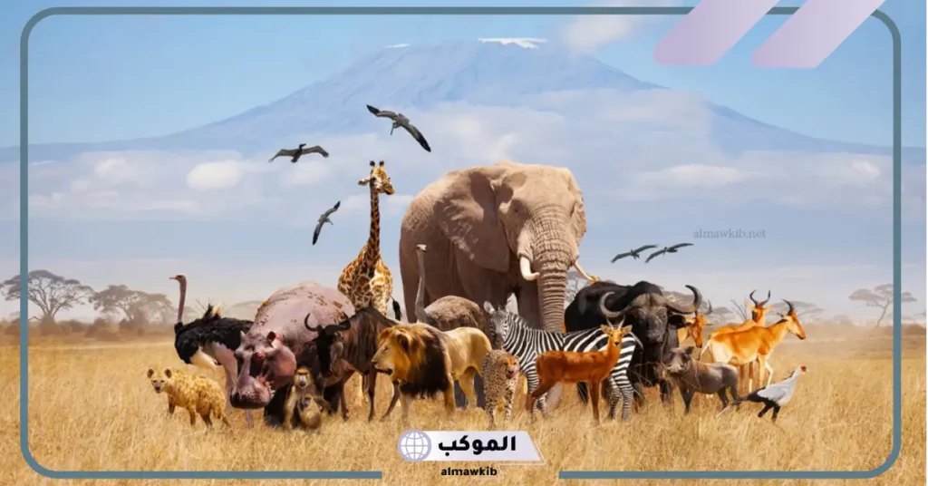 كتابة بحث حول جهود العلماء في تصنيف الحيوانات 5 مخطط تصنيف الكائنات الحية