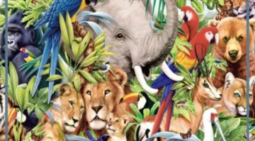 تصنيفات الحيوانات