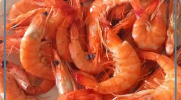 تفسير حلم الجمبري المقلي في المنام