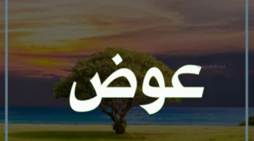 تفسير حلم زواج شخص اسمه عوض في المنام