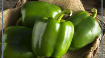 تفسير رؤية الفلفل الأخضر في المنام للمتزوجة 1