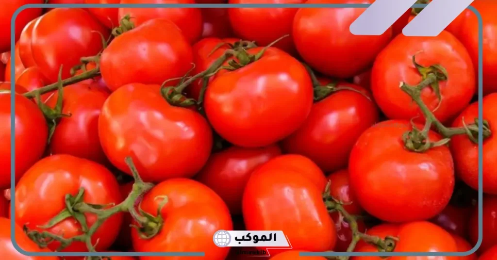 تفسير حلم أكل الطماطم للعزباء