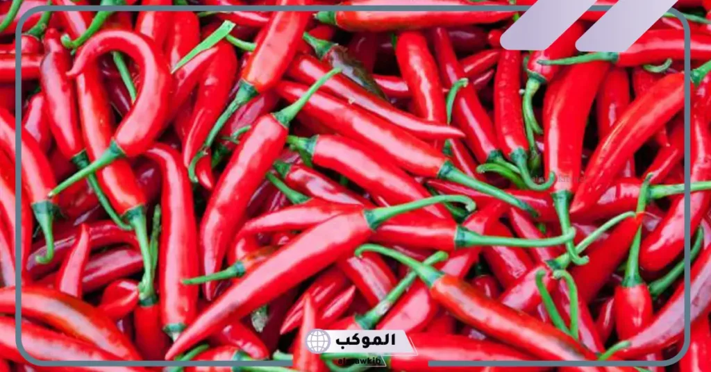تفسير حلم الفلفل الاحمر في المنام للرجل والمتزوجة والعزباء 5 رؤية الفلفل الأحمر في المنام للعزباء