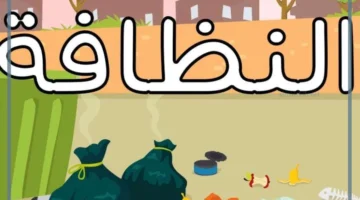 تقرير عن النظافة