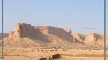 تقع هضبة الصمان في المملكة العربية السعودية
