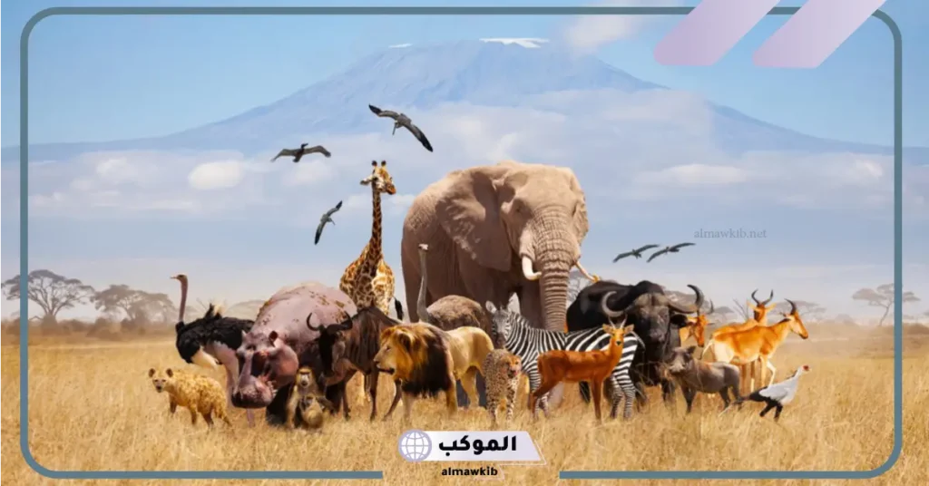 جهود أرسطو في تصنيف الحيوانات