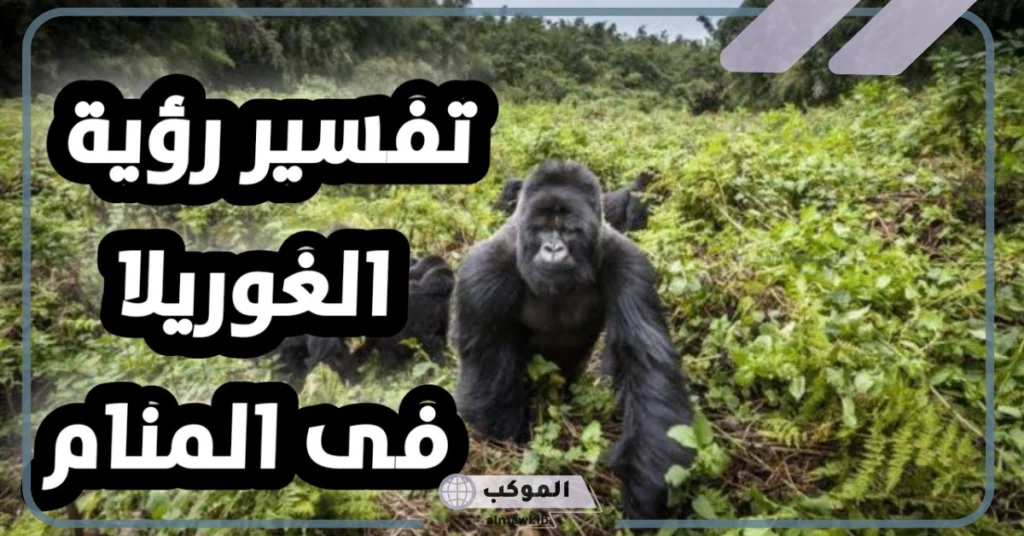 الغوريلا في المنام للمتزوجه 