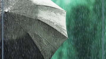 حلم نزول المطر