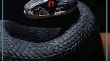 حلمت بثعبان اسود