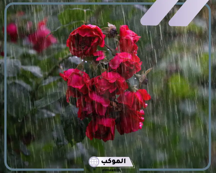 تفسير حلم الامطار الغزيرة لابن سيرين