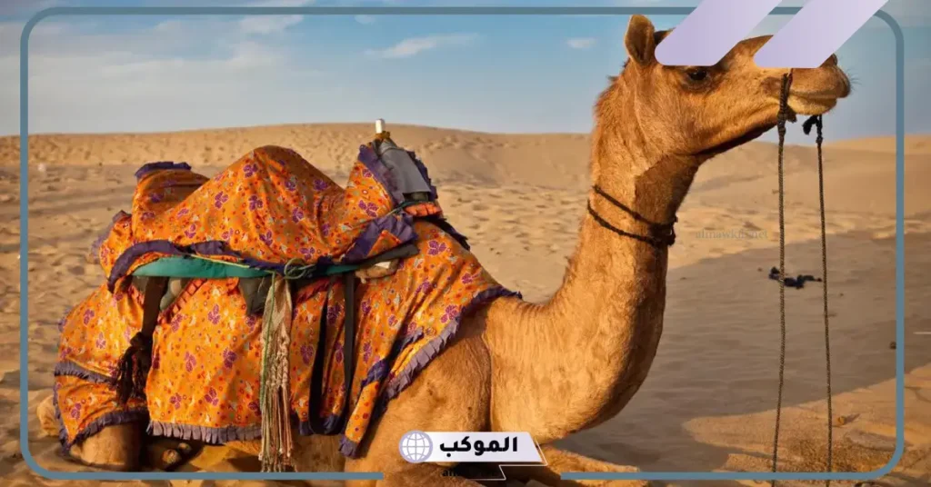 مدة حمل الفيل