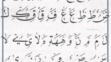 خط النسخ حروفه مطموسه