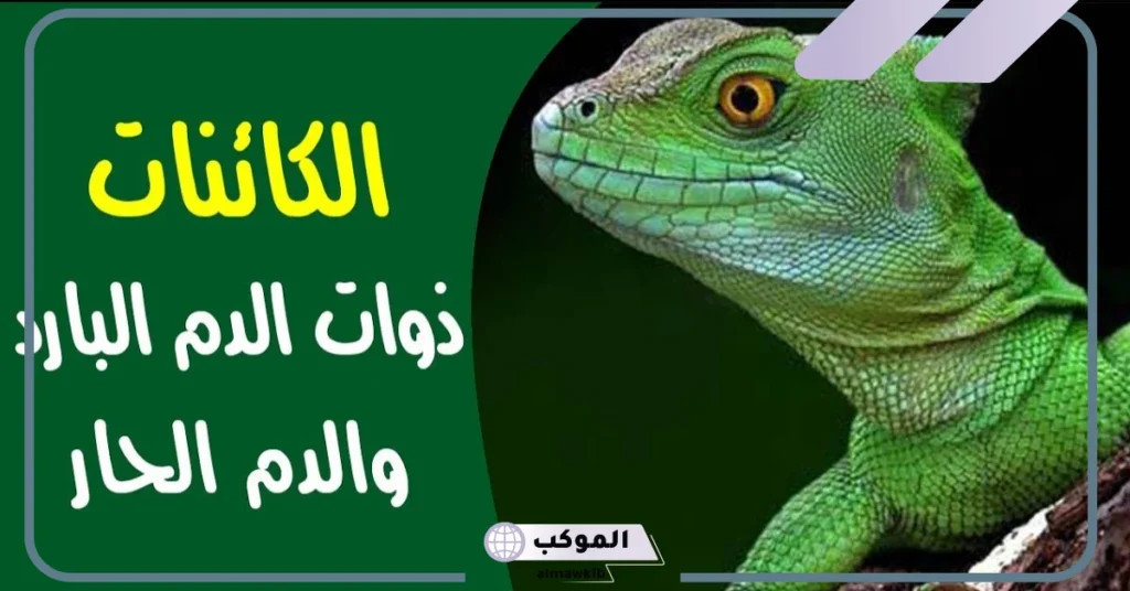 هل الإنسان من ذوات الدم البارد ام الحار