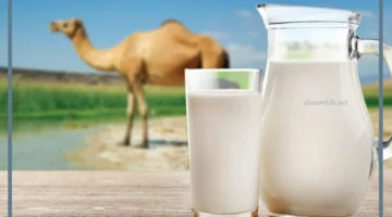 رؤية الحليب