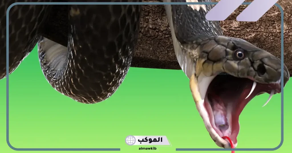 تفسير حلم الثعبان الاسود الكبير في المنام للنابلسي للرجل والمرأة المتزوجة 6 تفسير حلم الثعبان الأسود للرجل