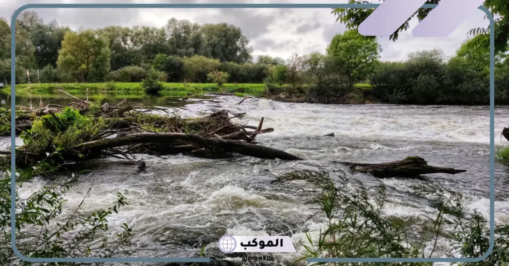 تفسير حلم الهروب من السيل للرجل